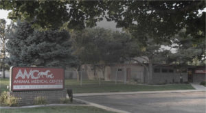 animal medical clinic boise
